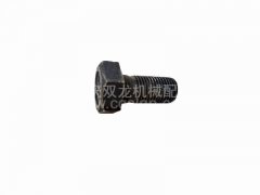 北方奔馳盆角齒螺絲12×