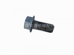 北方奔馳盆角齒螺絲14×